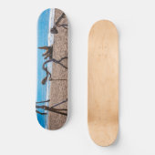 Evolution Skateboard (Vorderseite)
