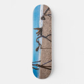 Evolution Skateboard (Vorderseite)