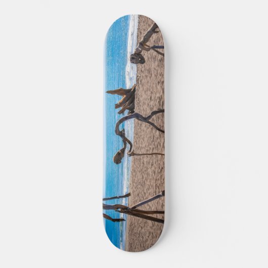 Evolution Skateboard (Vorderseite)