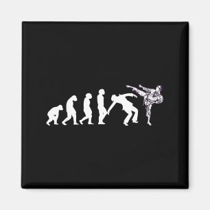 Evolution Taekwondo Karate Aikido Ju Jutsu Kung Fu Magnet