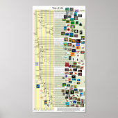 Evolution Tree Poster (Vorne)