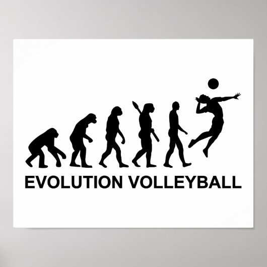 Evolution Volleyball Poster (Vorne)
