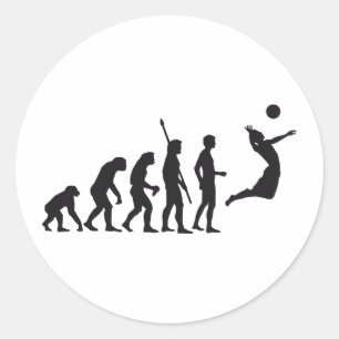 evolution volleyball runder aufkleber