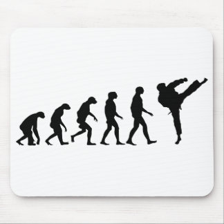 Evolution von Karate Mousepad