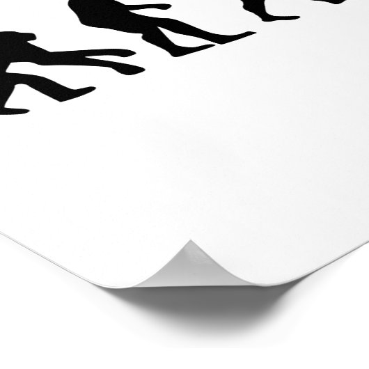 Evolution Wasserski Poster (Ecke)