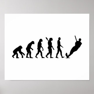Evolution Wasserski Poster