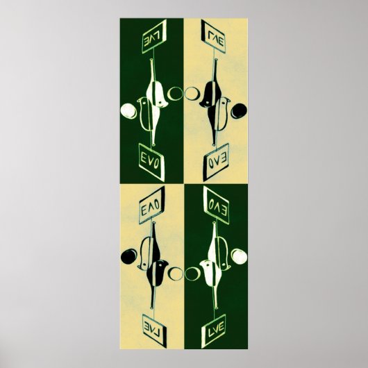 Evolution Yin und Yang Poster (Vorne)