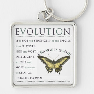 Evolutions-Änderung Schlüsselanhänger