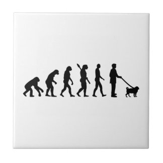 Evolutions-Mops Fliese