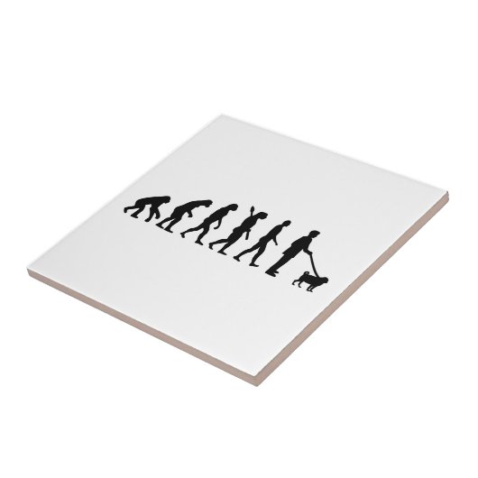 Evolutions-Mops Fliese (Seite)