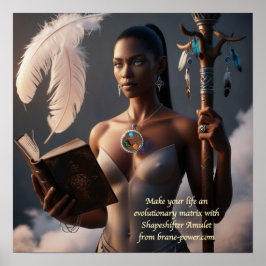 Evolutionsmatrix Poster