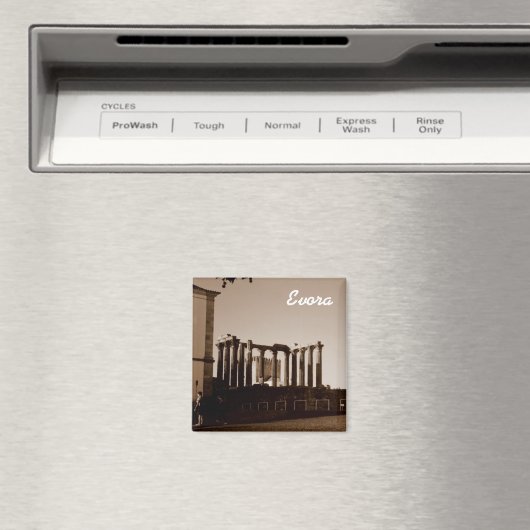 Evora Magnet (In Situ (Geschirrspüler))