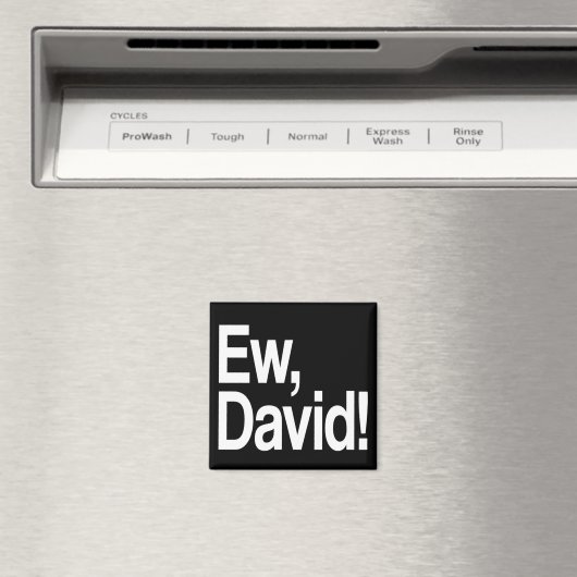 Ew David Magnet (In Situ (Geschirrspüler))