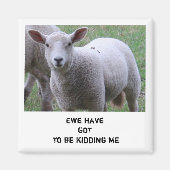 Ewe hat got, mich zu verarschen magnet (Vorne)