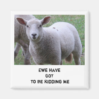 Ewe hat got, mich zu verarschen magnet