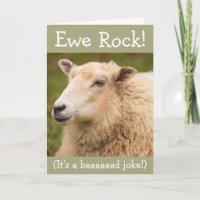 Ewe Rock! Geburtskarte der Schafe