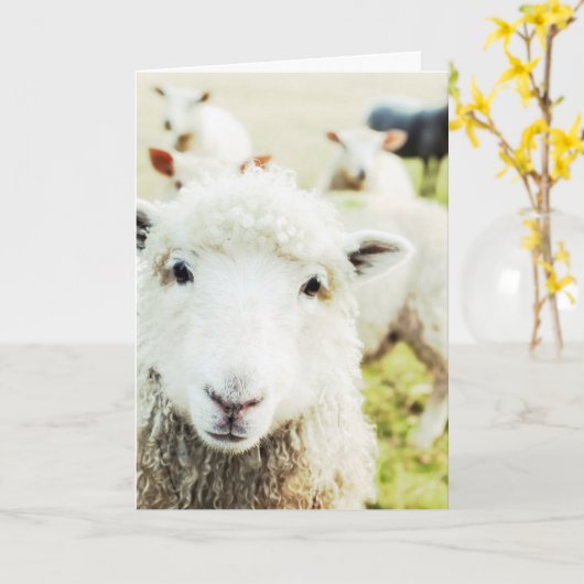 Ewe-Süsse Lamm-Ländertiernotecard Karte (Gelbe Blume)