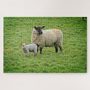 Ewe und Lamb Puzzle