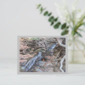 Ewige Flamme am Rücken Postkarte (Stehend Vorderseite)