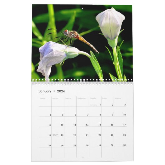 Ewiger Frühling Kalender (Jan 2026)