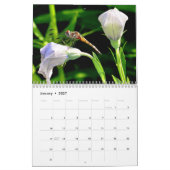 Ewiger Frühling Kalender (Jan 2027)