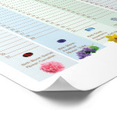 Ewiger Geburtstagskalender Poster (Ecke)