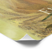 Ewiger Sonnenschein CC0559 Alberts Lynch Poster (Ecke)