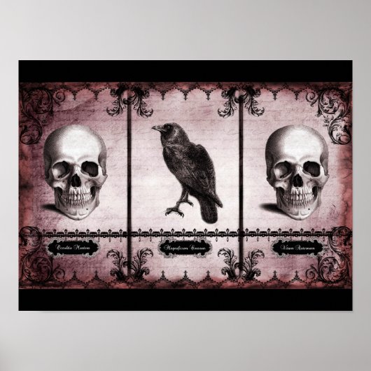 Ewiges Leben Poster (Vorne)
