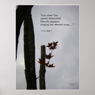 Ewiges Lied des Lebens: Natur-Zen/Tao-Plakat Poster