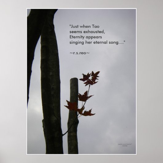 Ewiges Lied: Nature Zen/Tao Poster (Vorne)
