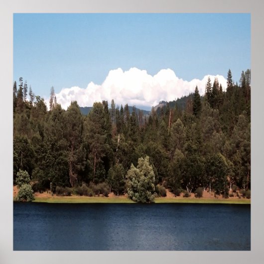 Ewing Reservoir im Frühjahr....... Poster (Vorne)