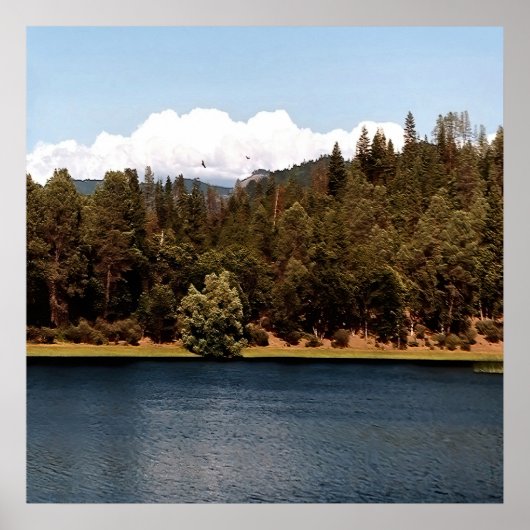 Ewing Reservoir... Poster (Vorne)