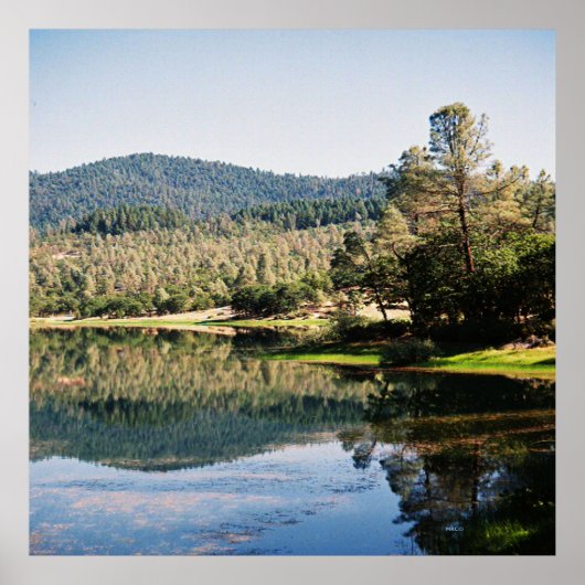 Ewing Reservoir... Poster (Vorne)