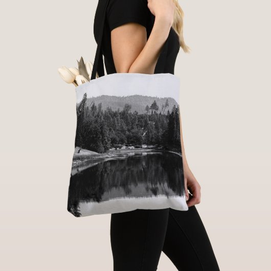 Ewing Reservoir... Tasche (Von Nahem)