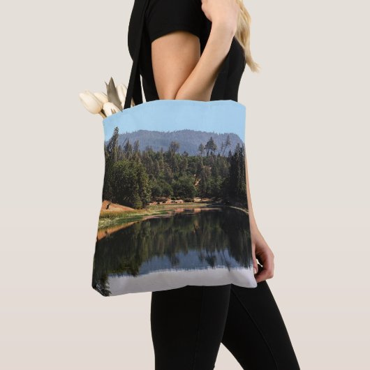 Ewing Reservoir...... Tasche (Von Nahem)