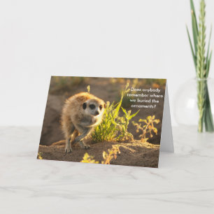 Ewoks Ornaments - Seasons Greetings Card Feiertagskarte