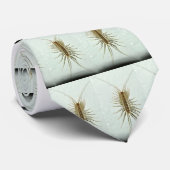 ewww krawatte (Gerollt)