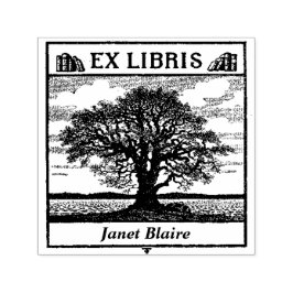 EX LIBRIS Buchungsplatte Custom Library Book Brief Permastempel