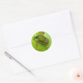 Ex libris Green June Käfer Stickers (Umschlag)