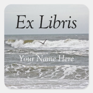 Ex Libris - Surf und Gull Sticker