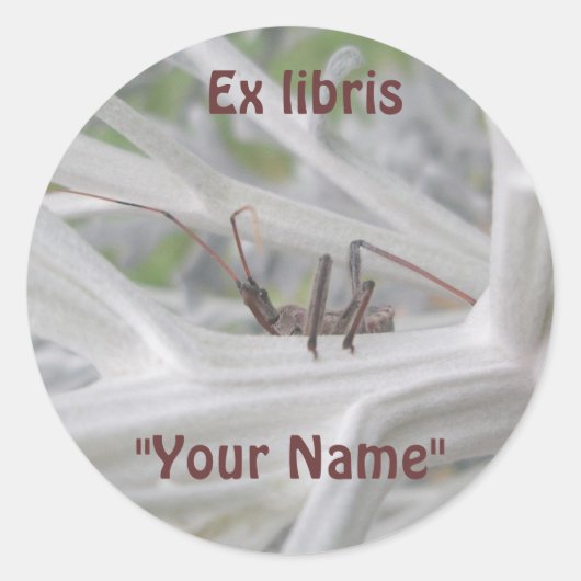 Ex librisReduviid Peeking Stickers (Vorderseite)