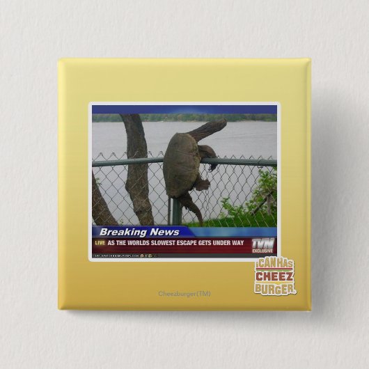 Excaping Schildkröte Button (Vorderseite)