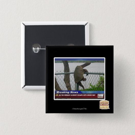 Excaping Schildkröte Button (Vorne & Hinten)