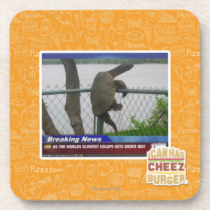 Excaping Schildkröte Getränkeuntersetzer