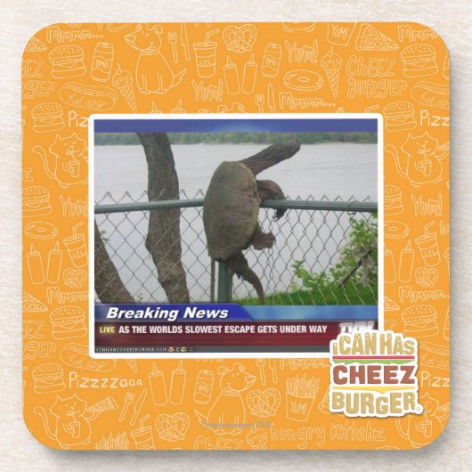 Excaping Schildkröte Getränkeuntersetzer (Vorderseite)