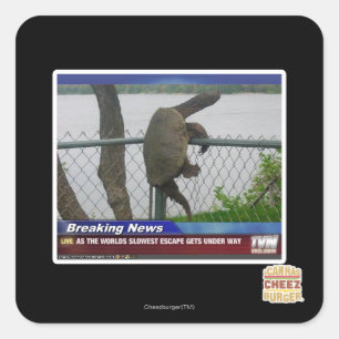 Excaping Schildkröte Quadratischer Aufkleber