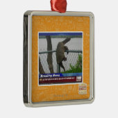 Excaping Schildkröte Silbernes Ornament (Rechts)