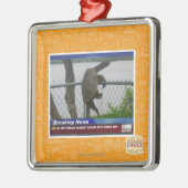 Excaping Schildkröte Silbernes Ornament (Links)