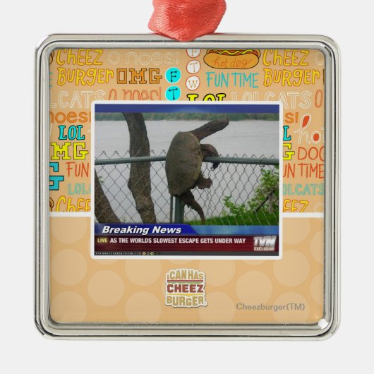 Excaping Schildkröte Silbernes Ornament (Vorne)