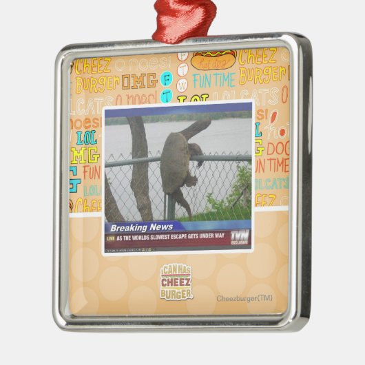 Excaping Schildkröte Silbernes Ornament (Links)